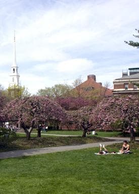 The weather may be getting nicer at Harvard, but the economic climate is less sunny. (Christian Holland/WBUR)