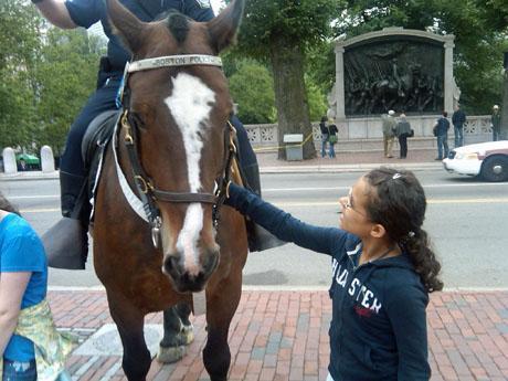 A school girl pets Clancy, one of 11 horses in the Boston Police Department's mounted unit outside the State House on June 9. (Steve Brown/WBUR)