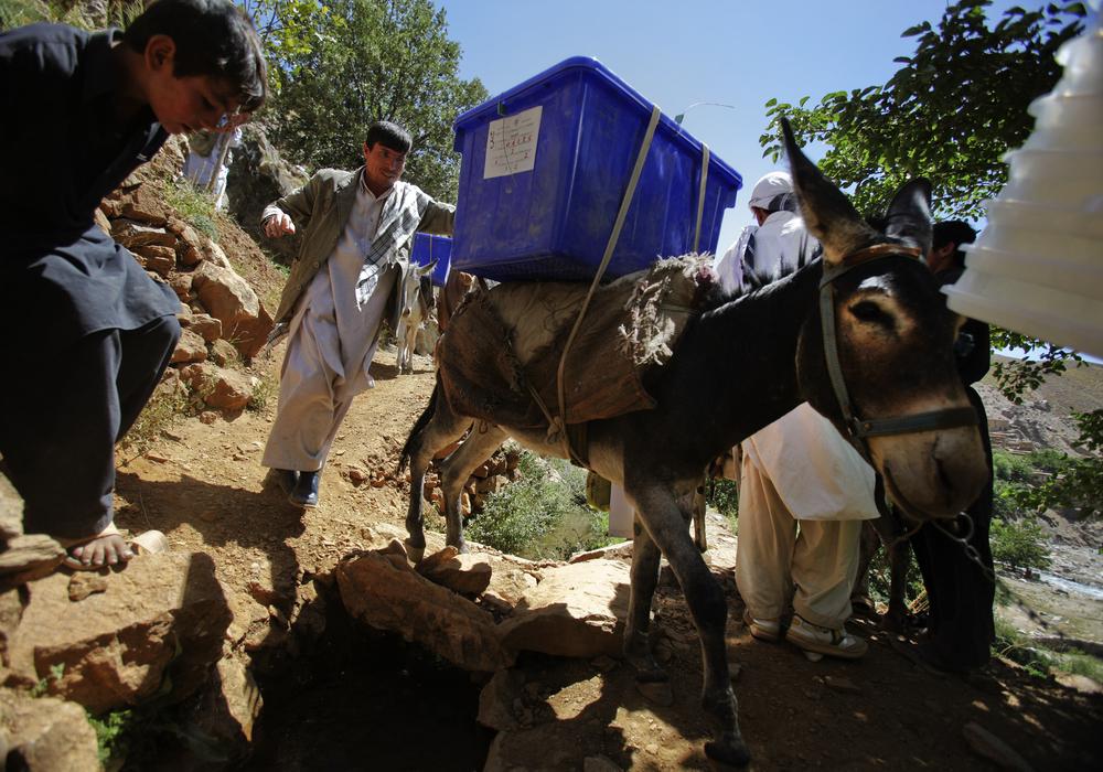 A donkey loaded with election supplies heads to a rural polling station in Sighawar in Afghanistan's mountainous Panjshir Province, located about 113 km (70 miles) north of Kabul, Wednesday, Aug. 19, 2009.  Afghans will head to the polls on Aug. 20 to elect the new president for the second time in the country's history. (AP)
