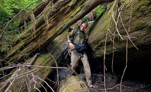 National Geographic Explorer-in-Residence Mike Fay emerges from a hellish hike down Little Lost Man Creek in Redwood National Park. In 2008, Fay and hiking partner Lindsey Holm finished the first comprehensive transect of the redwood range, covering 1,800 miles of Pacific coastal forest. (Photo: Michael Christopher Brown / National Geographic)