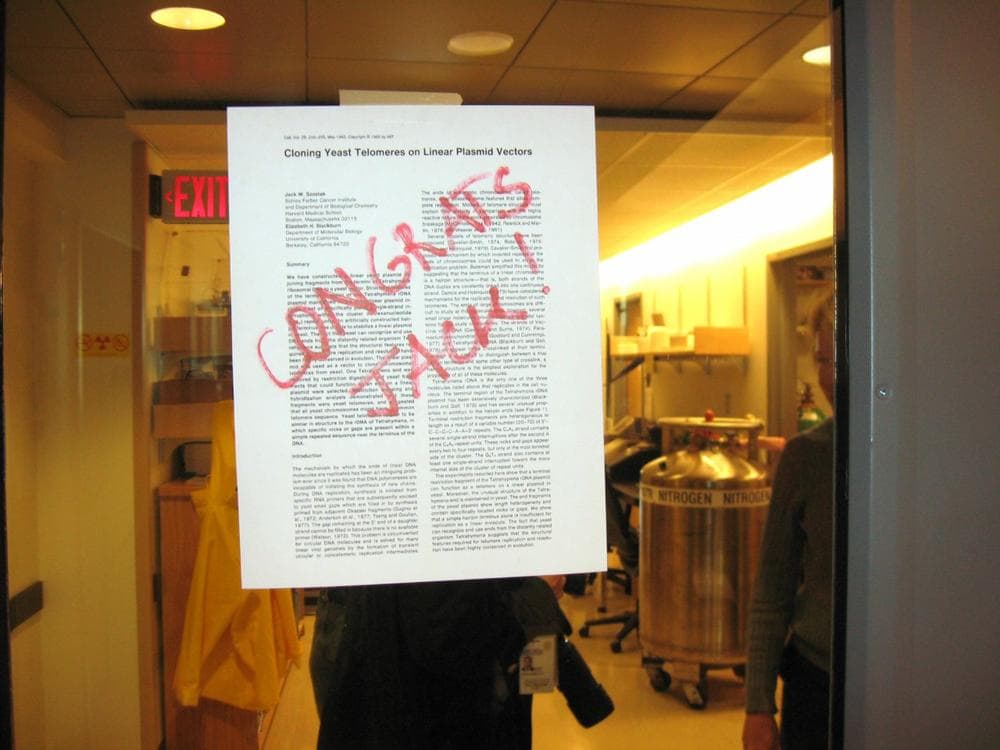 A sign in Szostak's lab &mdash; written on one of his research papers &mdash; congratulates him on his Nobel award. (Sacha Pfeiffer/WBUR) 