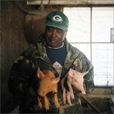 Eddie and Dorothy Wise raise hogs on 106 acres near Whitakers, in east-central North Carolina. Eddie is a fourth-generation hog farmer but the first to own a farm; his father and grandfather were sharecroppers. (Tom Rankin, Center for Documentary Studies at Duke University)