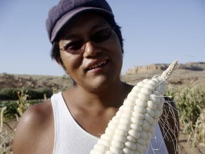 David Pecusa looking at a freshly harvested ear of corn on the Hopi Reservation in Arizona. (Andrew Lewis, Five Farms)