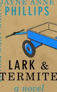 1116_lark-termite