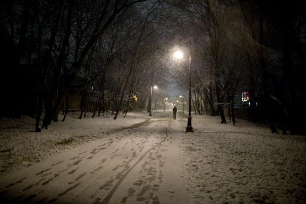 Snow fell along the Grove-Cedar path in Davis Square, Somerville. (David/starkindler.us)
