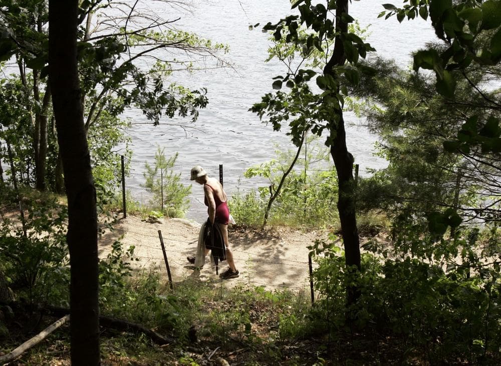 A woman walks along a trail at Walden Pond in Concord, Mass., June 2007. A Harvard study focused on invasive plants around the pond. (AP Photo/Elise Amendola)