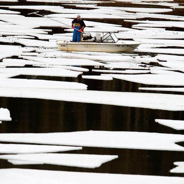 A clammer raked for quahogs in the New Meadows Lake in Brunswick, Maine, on Tuesday. Scientists are sounding a warning that the New England shellfish industry faces a potential threat of widespread red tide outbreaks this spring and summer. (Pat Wellenbach/AP)