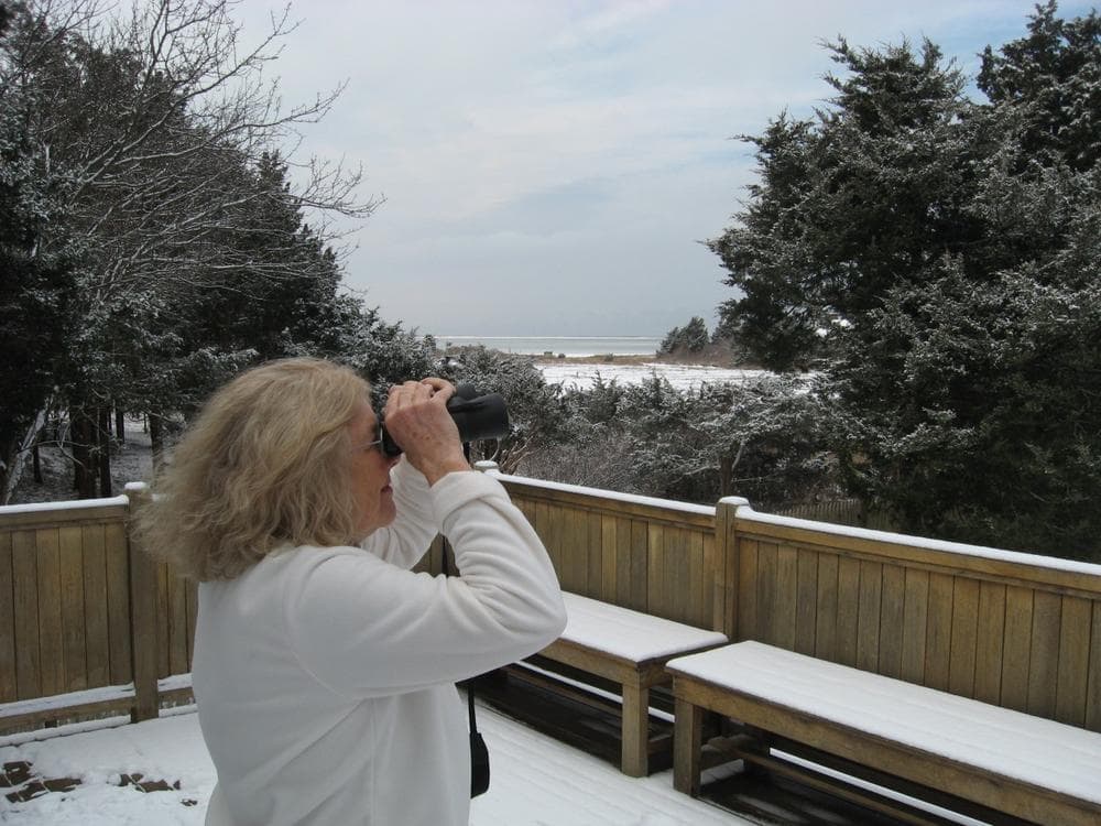 Martha Powers of West Yarmouth enjoys birdwatching from her porch with a view toward Nantucket Sound. She fears for the songbirds that would be killed by Cape Wind turbines. (WBUR/Curt Nickisch)