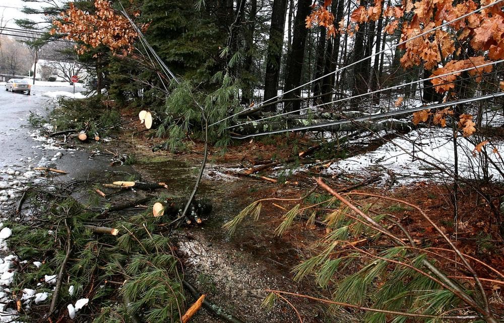 Fallen trees hang on utility wires in East Derry, N.H. on Saturday. Utility crews pushed through deep drifting snow and fallen trees to restore electricity to homes and businesses that lost power during a slow-moving winter storm that pounded the Northeast with heavy snow, rain and hurricane-force winds. (AP)