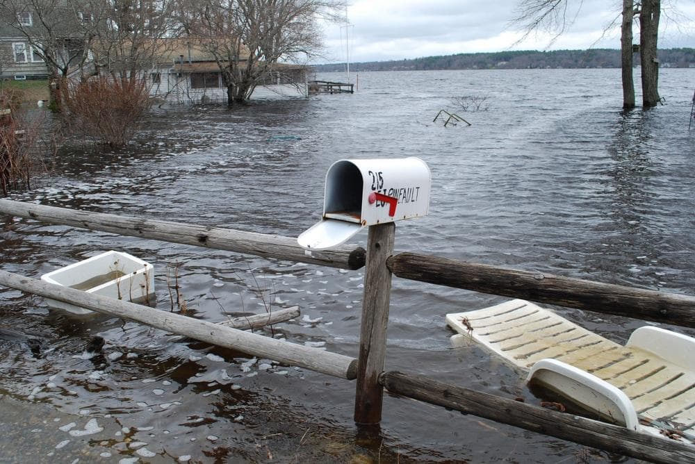 Water from Long Pond laps across Lakeville residents' yards, submerging their basements. (Bianca Vazquez Toness/WBUR)