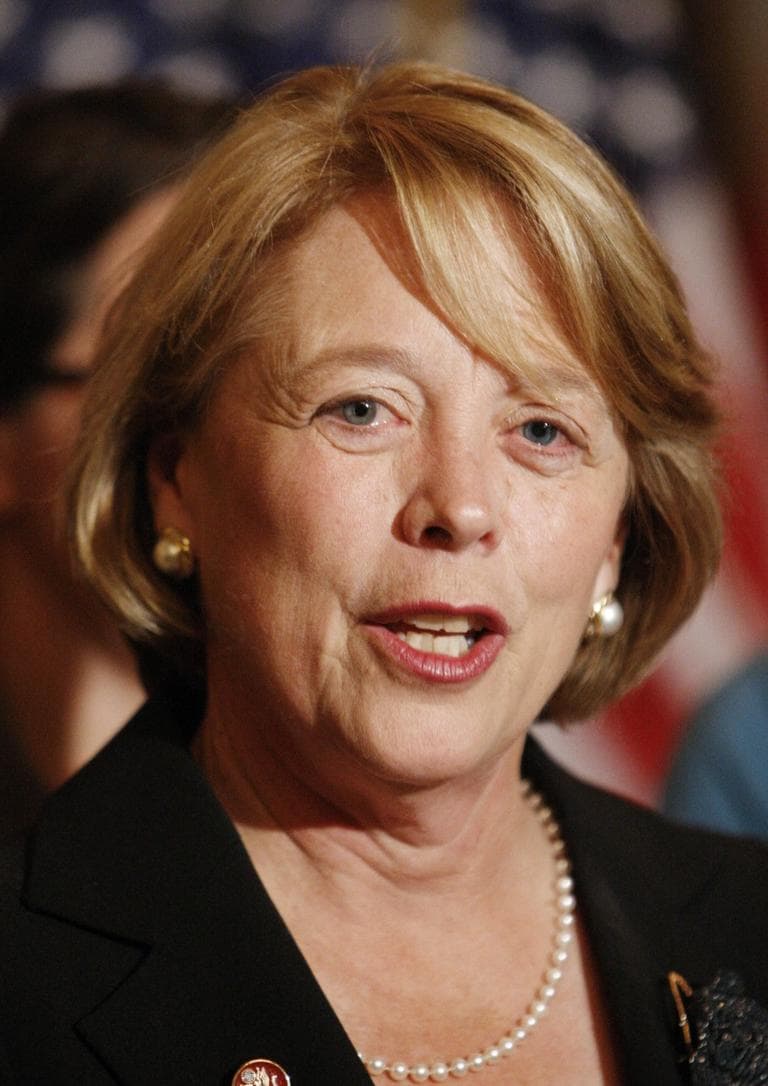 Rep. Niki Tsongas came home for spring recess to angry opponents of the health care bill and 11 challengers in the midterm election. (AP) 