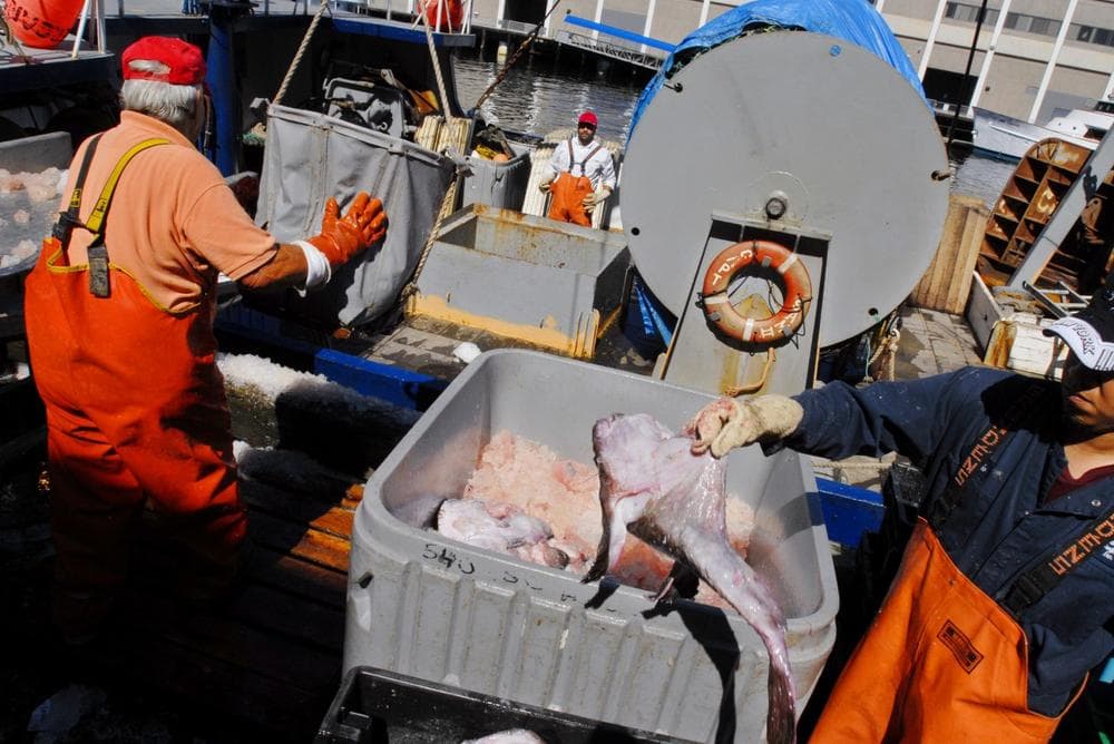 Fishermen from Bramante Seafood unload a haul of monkfish in Boston in 2006. (AP)