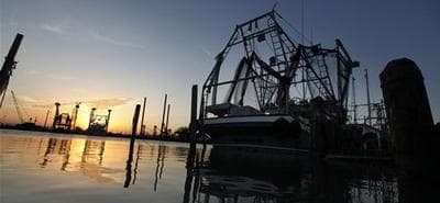 Shrimping and fishing boats are seen docked at sunrise in Venice, La. (AP)