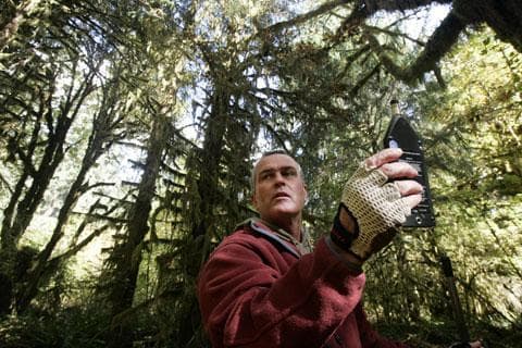 Acoustic ecologist Gordon Hempton uses a sound level meter in the Hoh Rain Forest of Olympic National Park, Wash., Oct. 2, 2006. (AP)