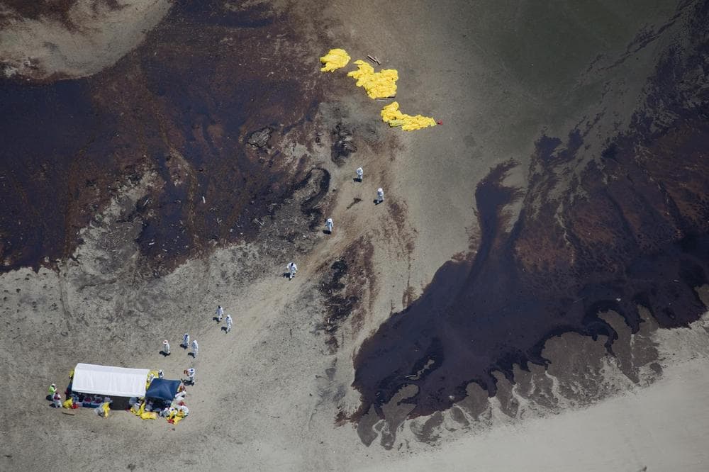 Crews try to clean an island covered in oil from the Deepwater Horizon oil spill on the South part of East Bay, south of Venice, La. (AP via Greenpeace)