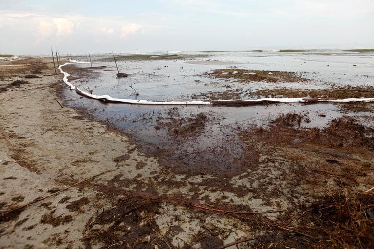 Oil absorbent material boom and oil from the Deepwater Horizon oil spill is seen on Elmer&#039;s Island in Grand Isle, La. (AP)