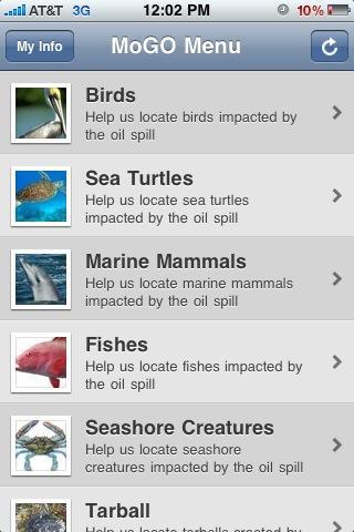 MoGO (Mobile Gulf Observatory) is a new iPhone app created by UMass Amherst wildlife biolgists.