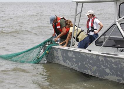Louisiana Department of Wildlife and Fisheries employees check for oil in the Gulf in advance of today&#039;s start of the shrimping season. (AP)