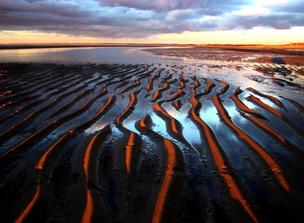 Low tide on the flats, Cape Cod Bay, Brewster (Joanna Vaughan/Flickr)
