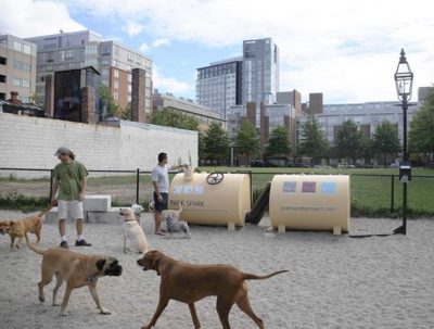 The Park Spark Project at the Pacific Street dog park in Cambridgeport (courtesy photo)