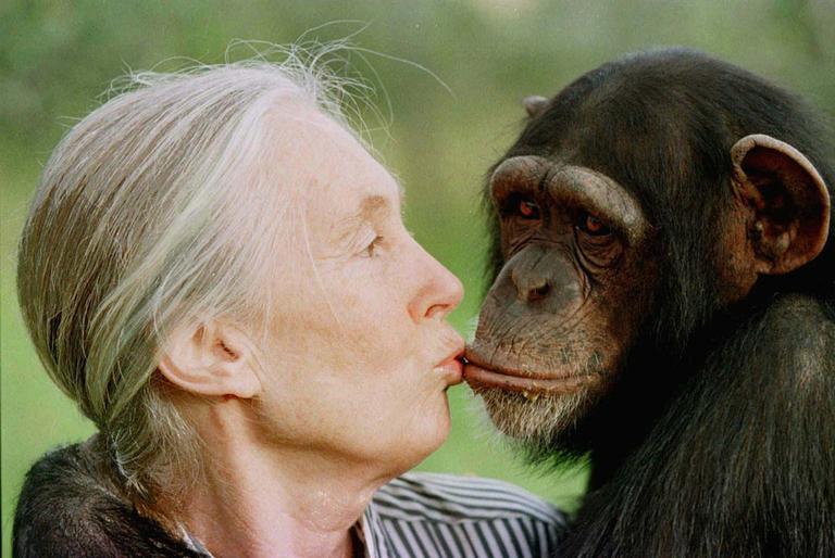 Jane Goodall gives a little kiss to Tess, a female chimpanzee at the Sweetwaters Chimpanzee Sanctuary north of Nairobi on Dec. 6, 1997. (AP)