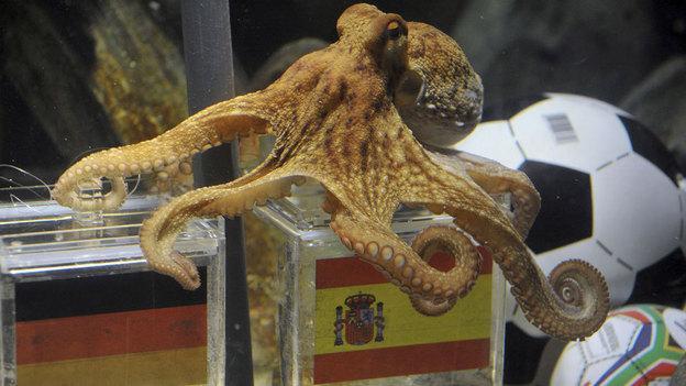 In July, Sea Life Aquarium&#039;s psychic octopus, Paul, correctly predicted that Spain would beat Germany in their World Cup semifinal match in South Africa. (AP)