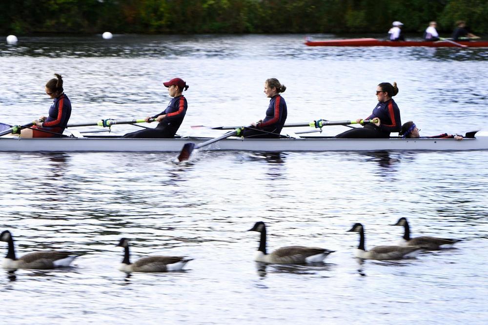 Head of the Charles, 2008 (Cocoa Dream/Flickr)