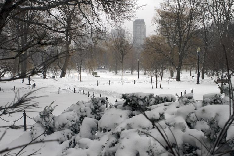 A view of Boston from the Public Garden on Monday. (Nick Dynan for WBUR)
