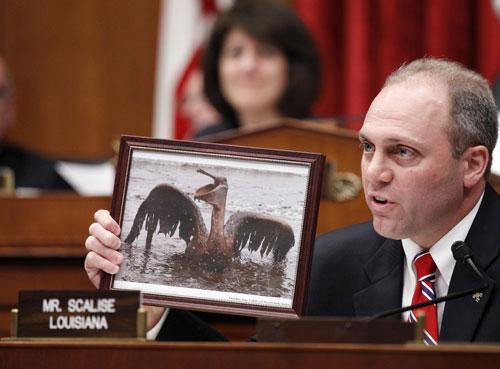 Rep. Steve Scalise, R-La., holds a photo of an oil-covered pelican as he questions BP CEO Tony Hayward, on Capitol Hill, June 17, 2010. (AP)