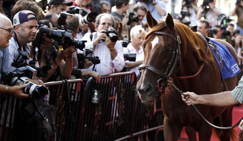 Trolley the horse arrives at the premiere of &quot;Secretariat&quot; in Los Angeles, Sept. 30, 2010. (AP)