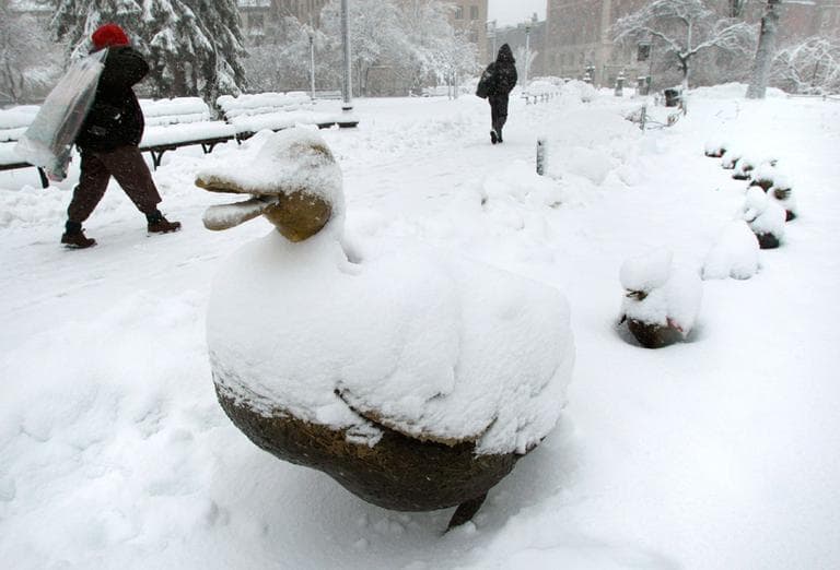 &quot;Make Way for (snowy) Ducklings&quot; in Boston's Public Garden. (AP)
