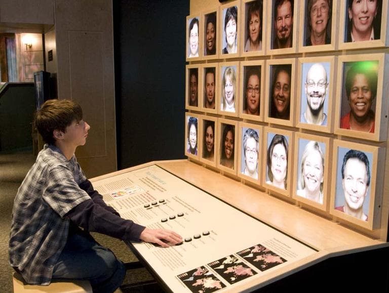 While visiting the RACE: Are We So Different exhibit at the Science Museum of Minnesota, a visitor plays an interactive game about the traits people share. (American Anthropological Association and Science Museum of Minnesota/Courtesy photo)