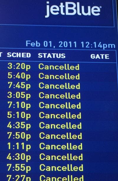 Jet Blue, all canceled at Logan (Fred Thys/WBUR)