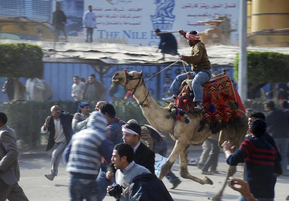 A supporter of President Hosni Mubarak, on camel, fights with anti-Mubarak protesters in Cairo, Egypt. (AP)