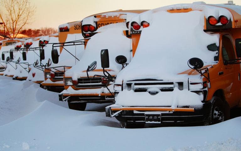 Snow-covered buses in Kansas Wednesday, as schools there also were off this Groundhog Day (AP)
