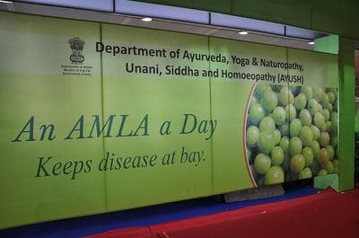 An Indian government banner promoting the health benefits of the Indian gooseberry, or &quot;amla.&quot; (Flickr/Hari Prasad Nadig)