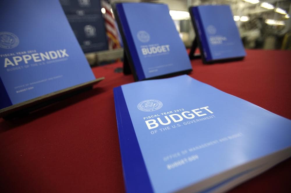 The 2012 budget, on display at the U.S. Government Printing Office at Washington. (AP)