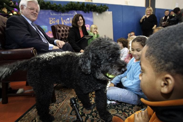 Portuguese water dog &quot;Splash,&quot; owned by Sen. Edward Kennedy, approaches  Nicholas Davis, 9, of Boston, while Kennedy reads his book, &quot;My Senator and Me: A Dog's Eye View of Washington D.C. &quot; in 2006. (AP)