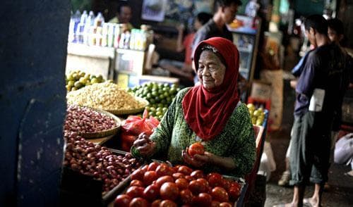 A woman picks tomatoes at a fruit and vegetable stall at a market in Jakarta, Indonesia, January 2011. (AP)