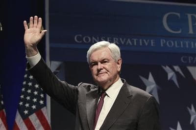 Former House Speaker Newt Gingrich addresses the Conservative Political Action Conference (CPAC) in Washington. (AP)