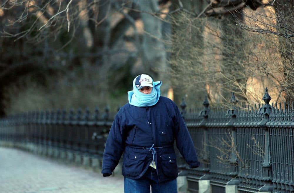 Jose Meledes was all bundled up walking by the Public Garden in this 2004 file photo. (Chitose Suzuki/AP)