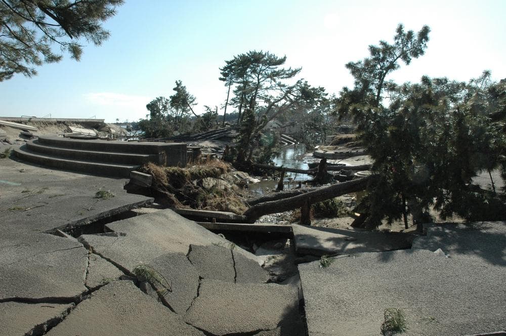The remains of the Shobutahama plaza and parking lot in northern Japan. (Jamie Rosenberg)