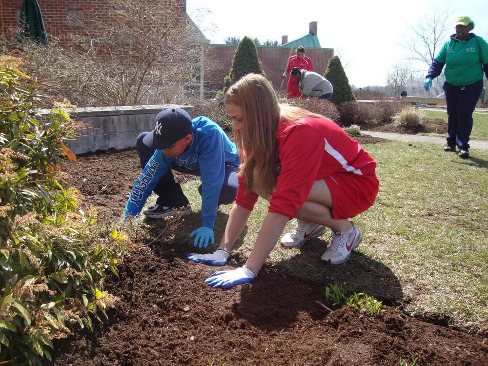 A clean-up project at the University of Hartford. (Photo courtesy of Wendy Knight)