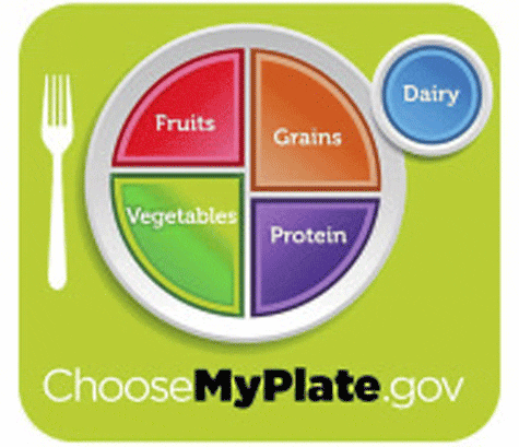 The USDA&#039;s new MyPlate guide.
