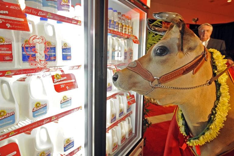 Elsie the Cow, Borden's celebrity spokescow in Lakeland, Fla. (PRNewsFoto/Borden Dairy Company) 