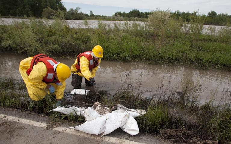 Clean up crews work to collect oil from along side the Yellowstone River in Laurel, Montana, Monday July 4, 2011. (AP)