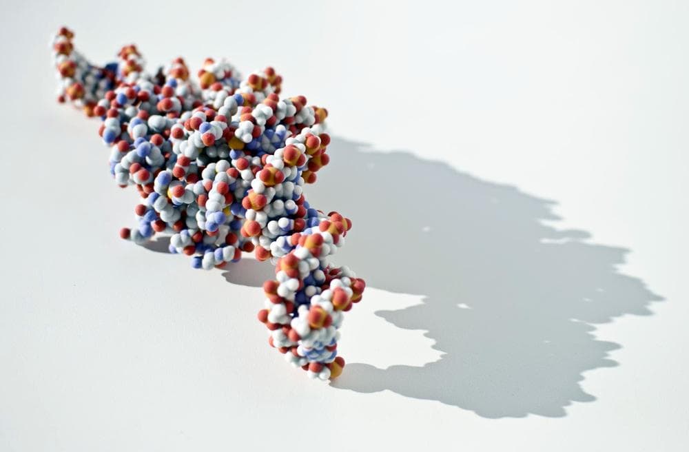 3-D printer model of DNA (WiddowQuinn/Flickr)