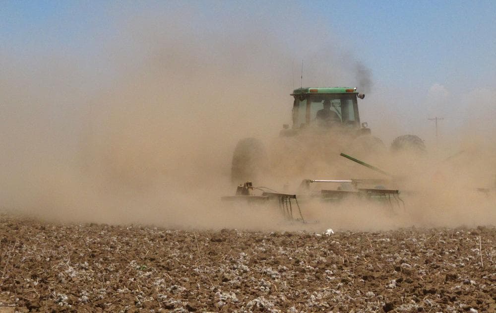 Tyler Gray stirs up a cloud of dust as pulls a tiller across a dry cotton field near Lubbock, Texas, trying to break up hardened ground. (AP)