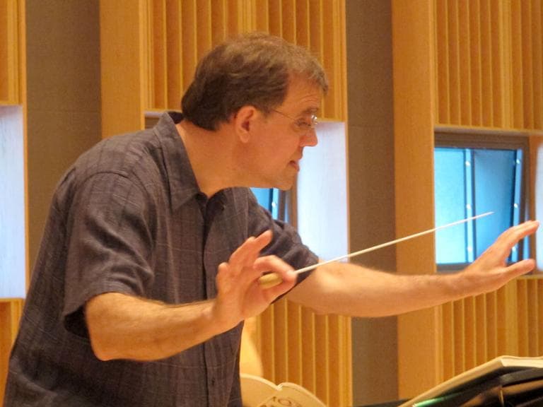 New Landmarks conductor Christopher Wilkins (Andrea Shea/WBUR)