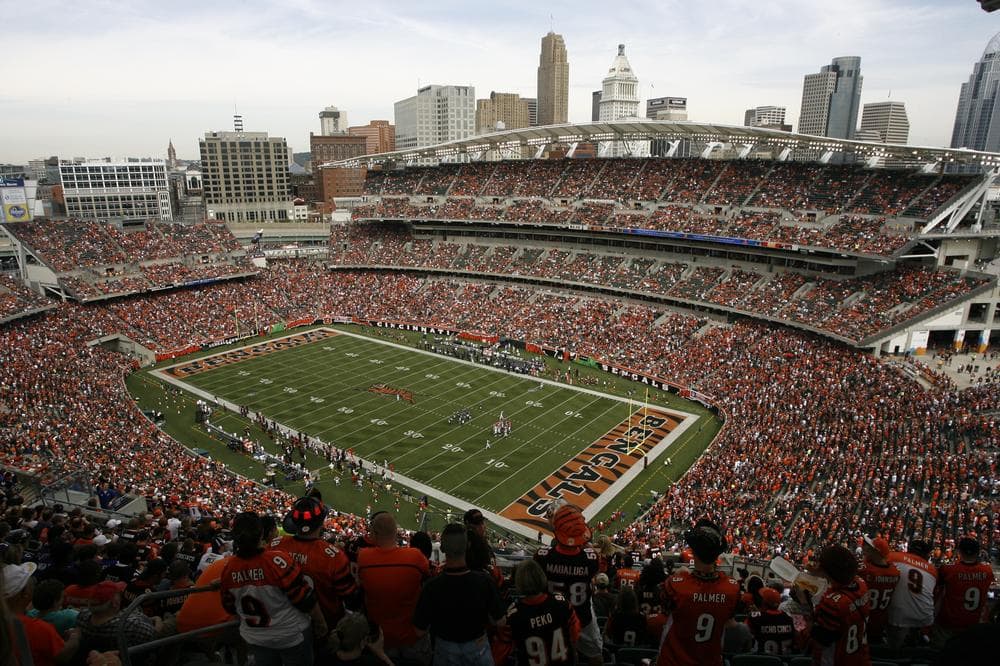 The Cincinnati Bengals and Baltimore Ravens at the very expensive Paul Brown Stadium during an NFL football game , Sunday, Sept. 19, 2010, in Cincinnati. (AP)